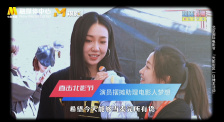 爱黑马的白马